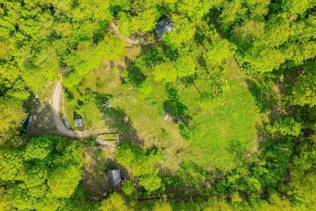 417 Maple Hill Rd, Arlington, VT 05250 - bird's eye view