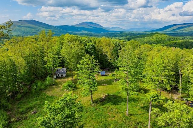 417 Maple Hill Rd, Arlington, VT 05250 - view of mountain background with a heavily wooded area