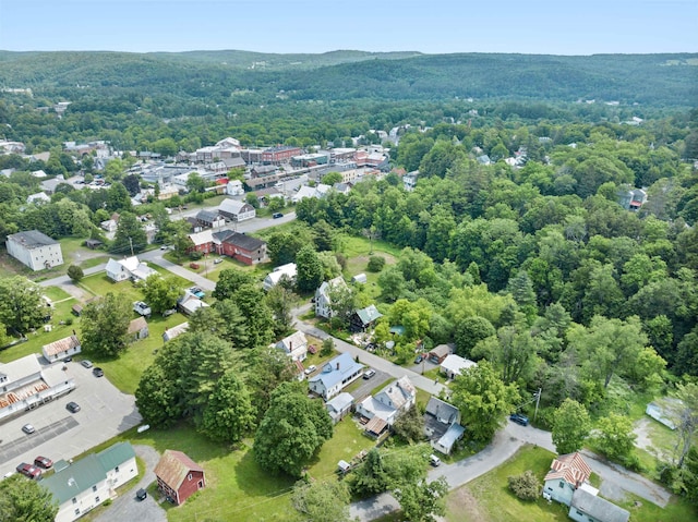 11 Dudley St, Randolph, VT 05660 - aerial overview of property's location with a forest and nearby suburban area