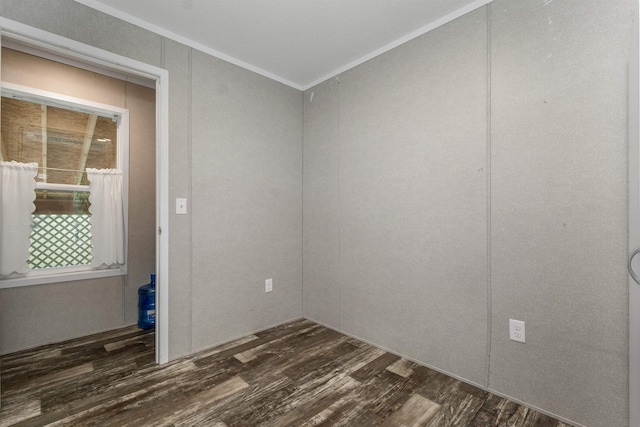 205 Windsor Rd, Hillsborough, NH 03244 - spare room featuring ornamental molding and dark wood finished floors