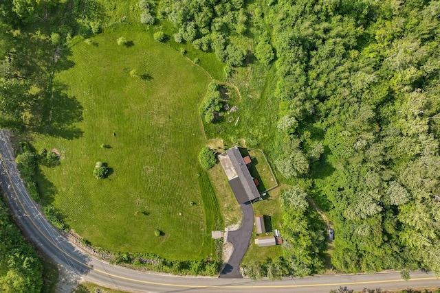 205 Windsor Rd, Hillsborough, NH 03244 - aerial view of property and surrounding area