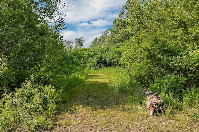 205 Windsor Rd, Hillsborough, NH 03244 - view of woods