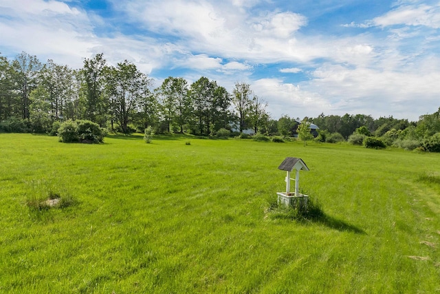 205 Windsor Rd, Hillsborough, NH 03244 - view of green lawn