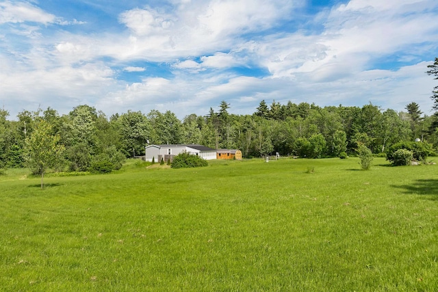 205 Windsor Rd, Hillsborough, NH 03244 - view of green lawn with a forest view
