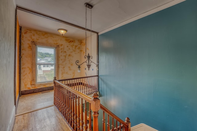 34 Union St, Littleton, NH 03561 - hallway featuring an upstairs landing, hardwood / wood-style floors, and ornamental molding