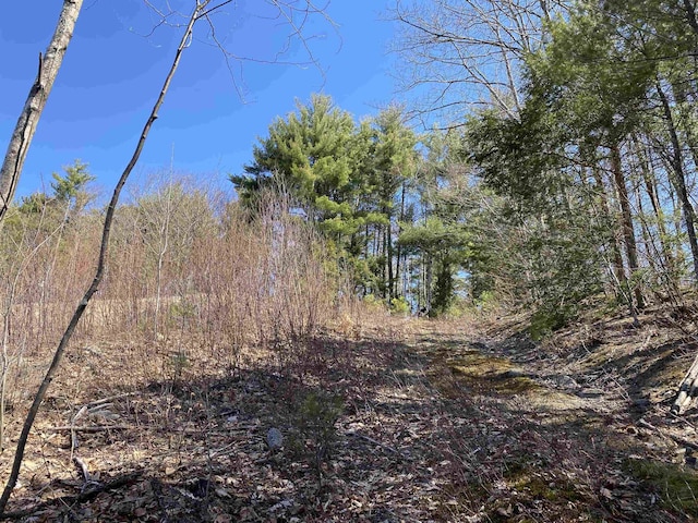 00 Marsha Dr, Alton, NH 03809