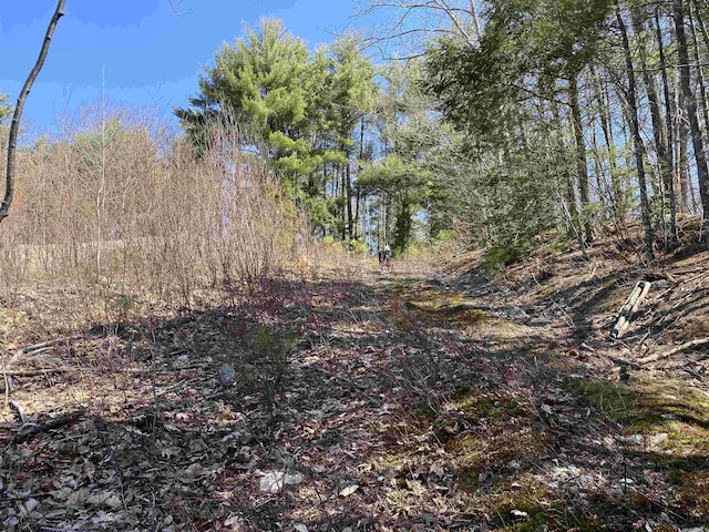 00 Marsha Dr, Alton, NH 03809