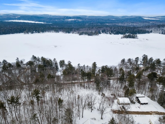 00 Marsha Dr, Alton, NH 03809