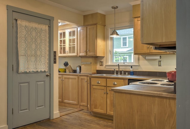 382 Park Ave, Keene, NH 03431 - kitchen featuring wood finished floors, pendant lighting, crown molding, and glass insert cabinets