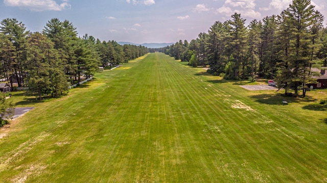 20 Pine Lane Rd, Ossipee, NH 03890 - view of grassy yard