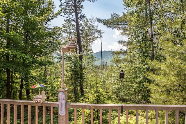 20 Pine Lane Rd, Ossipee, NH 03890 - view of mountain background