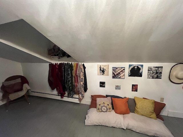 2940 Rte 30, Castleton, VT 05732 - living room with baseboard heating and lofted ceiling