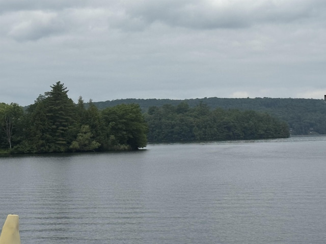 2940 Rte 30, Castleton, VT 05732 - water view featuring a forest