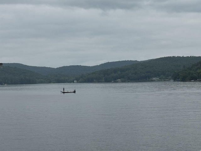 2940 Rte 30, Castleton, VT 05732 - water view with a mountainous background