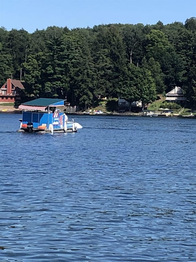 2940 Rte 30, Castleton, VT 05732 - water view with a floating dock and boat lift