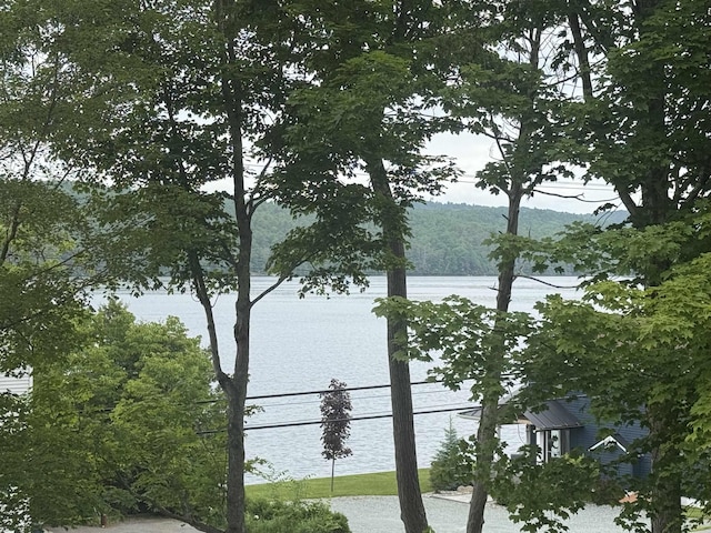 2940 Rte 30, Castleton, VT 05732 - water view