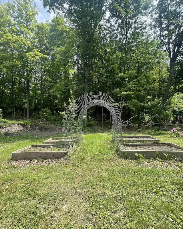 2940 Rte 30, Castleton, VT 05732 - view of yard with a garden