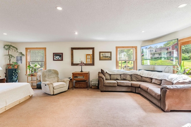 532 Randolph Rd, Stowe, VT 05672 - living room featuring light colored carpet, recessed lighting, and a textured ceiling