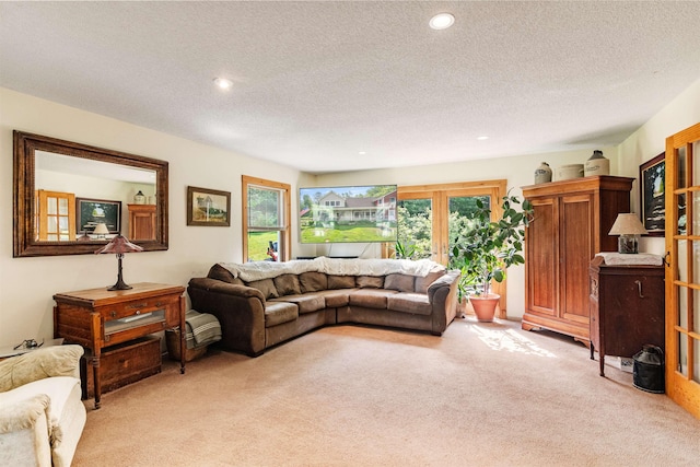532 Randolph Rd, Stowe, VT 05672 - living area with light carpet, a textured ceiling, and recessed lighting