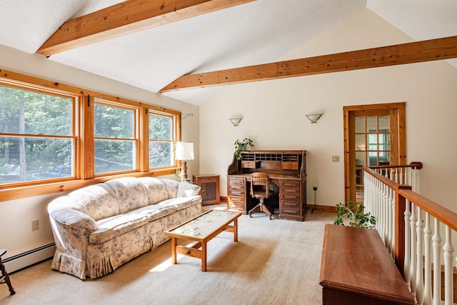 532 Randolph Rd, Stowe, VT 05672 - living area with baseboard heating and light colored carpet