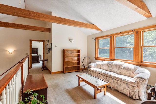 532 Randolph Rd, Stowe, VT 05672 - living room with light colored carpet, healthy amount of natural light, and a baseboard heating unit