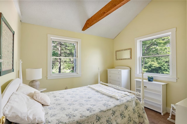 532 Randolph Rd, Stowe, VT 05672 - carpeted bedroom featuring multiple windows and vaulted ceiling