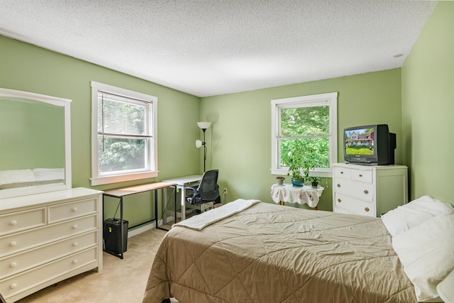 532 Randolph Rd, Stowe, VT 05672 - bedroom with light colored carpet and a textured ceiling