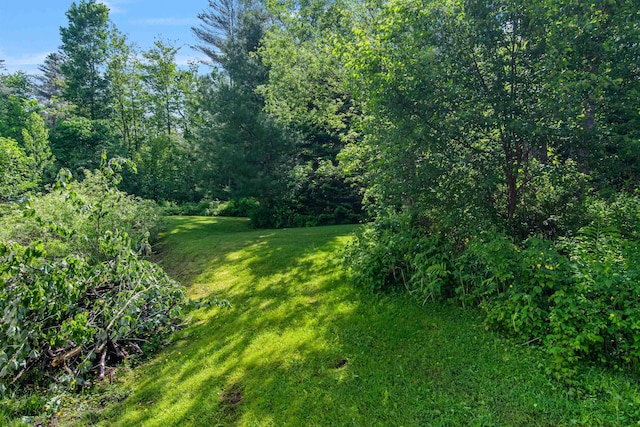 532 Randolph Rd, Stowe, VT 05672 - view of green lawn with a wooded view