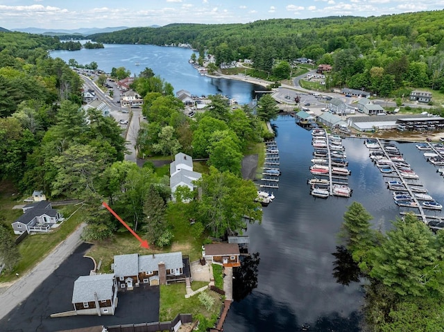 23 Riverlake St, Alton, NH 03810 - aerial view of property's location featuring a large body of water and a marina