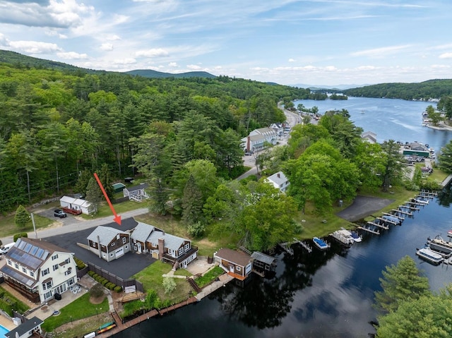 23 Riverlake St, Alton, NH 03810 - bird's eye view of a forest and a large body of water
