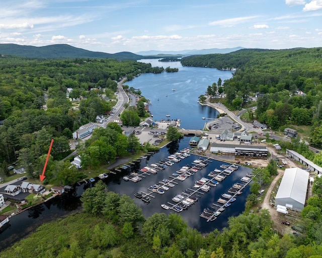 23 Riverlake St, Alton, NH 03810 - bird's eye view of a heavily wooded area and a water and mountain view