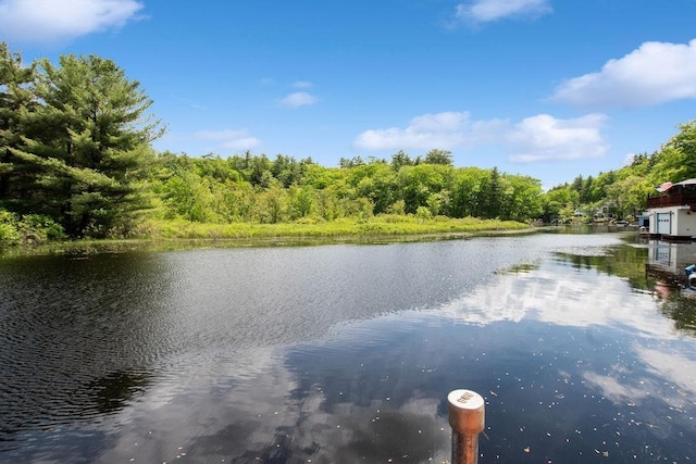 23 Riverlake St, Alton, NH 03810 - water view with a forest
