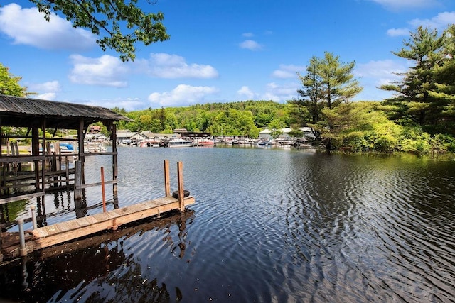 23 Riverlake St, Alton, NH 03810 - dock featuring a water view and a view of trees