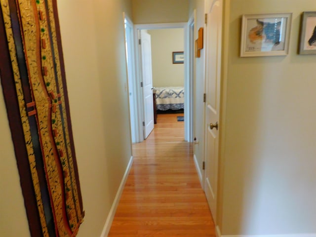 150 Pleasant Pond Way Unit 15, Manchester, NH 03102 - corridor with light wood-style floors and baseboards