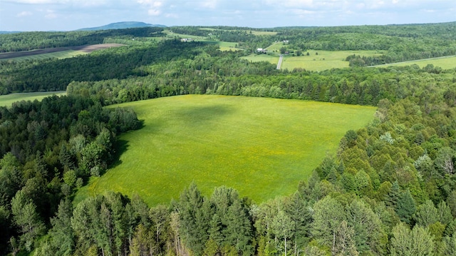 535 Mead Hill Rd, Holland, VT 05830 - bird's eye view of a forest