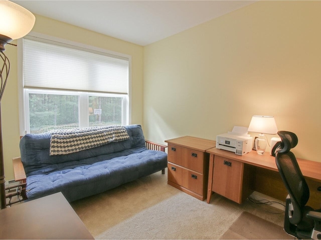 343 Cobblestone Cir S, Burlington, VT 05403 - office area with light colored carpet