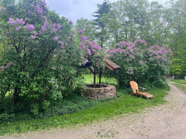 428 N Rd, Salisbury, NH 03235 - view of yard