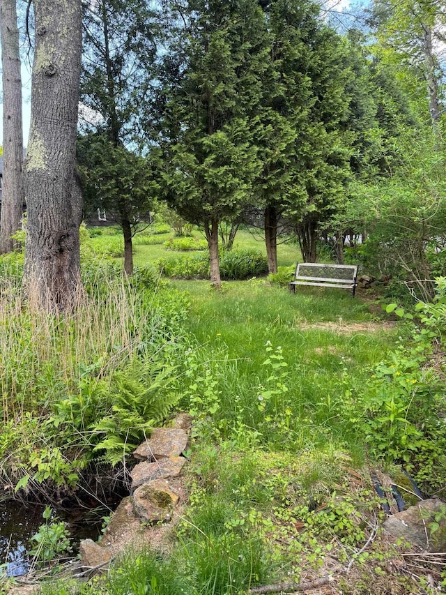 428 N Rd, Salisbury, NH 03235 - view of yard