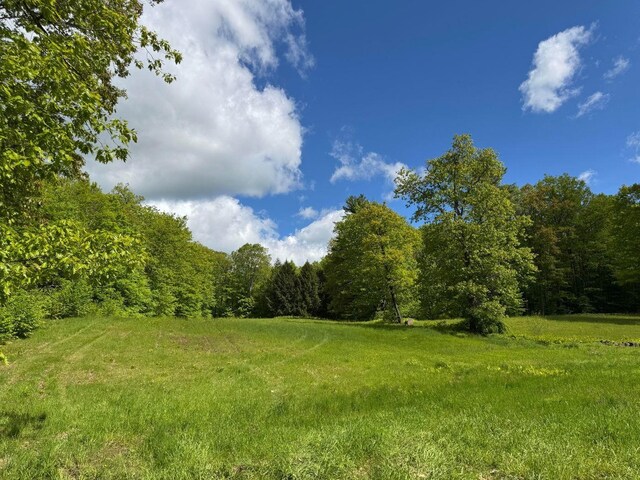428 N Rd, Salisbury, NH 03235 - view of tree filled area