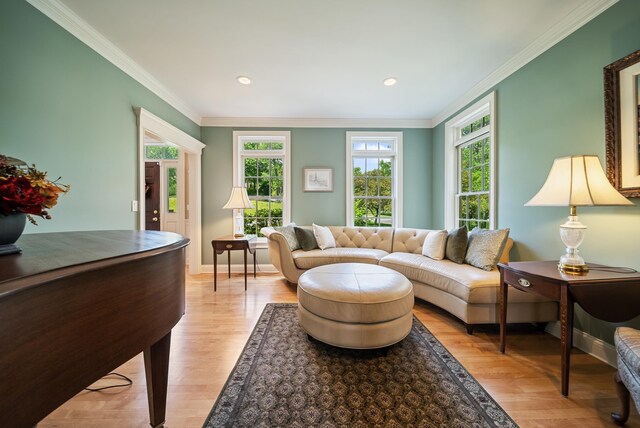 3 Baldwin Ln, Bedford, NH 03110 - living room with crown molding, light wood-type flooring, and recessed lighting