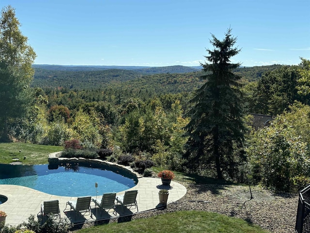 3 Baldwin Ln, Bedford, NH 03110 - swimming pool featuring a view of trees and a patio