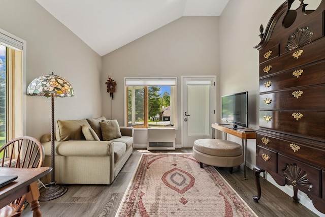 149 Club Sugarbush N Rd, Warren, VT 05674 - living room with high vaulted ceiling and wood finished floors