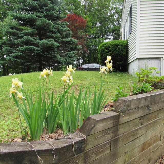 129 Chestnut St, Claremont, NH 03743 - view of green lawn