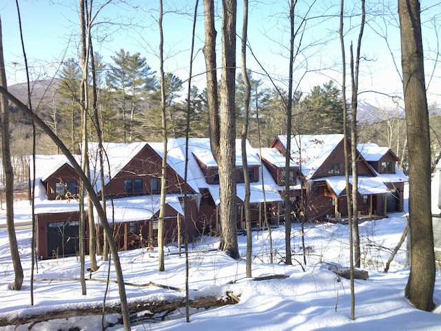 3148 Mountain Rd Unit B, Stowe, VT 05672 - view of front of house featuring a residential view
