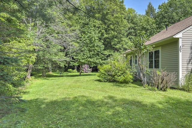 53 Summit Ridge Dr, Keene, NH 03431 - view of green lawn