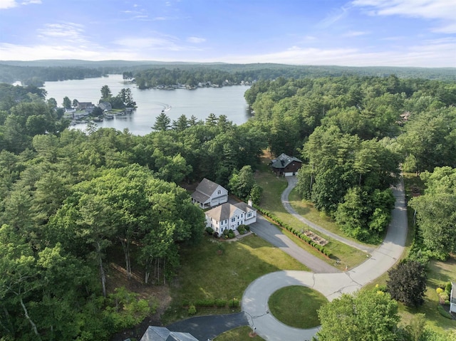 8 Aulson Rd, Salem, NH 03079 - view of property location featuring a heavily wooded area and a nearby body of water