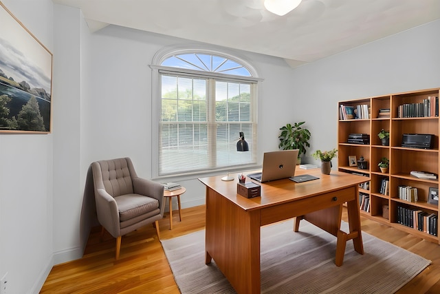 8 Aulson Rd, Salem, NH 03079 - home office with light wood-type flooring and baseboards