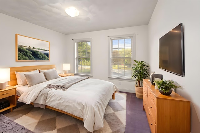 8 Aulson Rd, Salem, NH 03079 - bedroom with baseboards