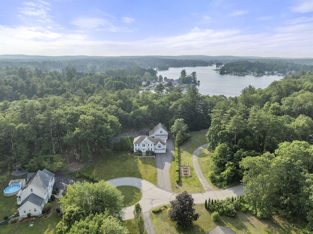 8 Aulson Rd, Salem, NH 03079 - view of subject property with a heavily wooded area and a nearby body of water