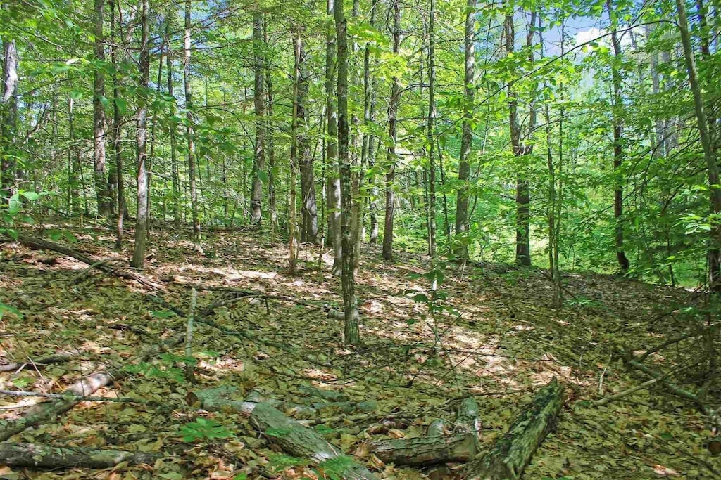 4 John Ter, Ossipee, NH 03864